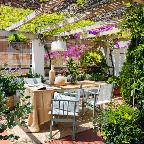 Alan Schollmayer, experto en jardín: "¡No uses bicarbonato puede matar las plantas de tu casa!"
